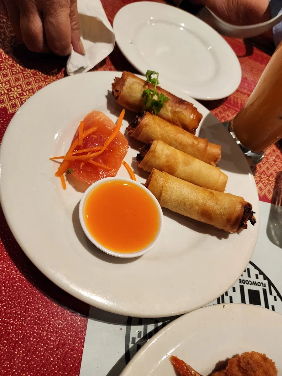 Fried Spring Rolls
