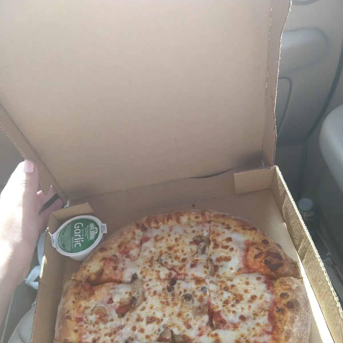 Mushroom Pizza