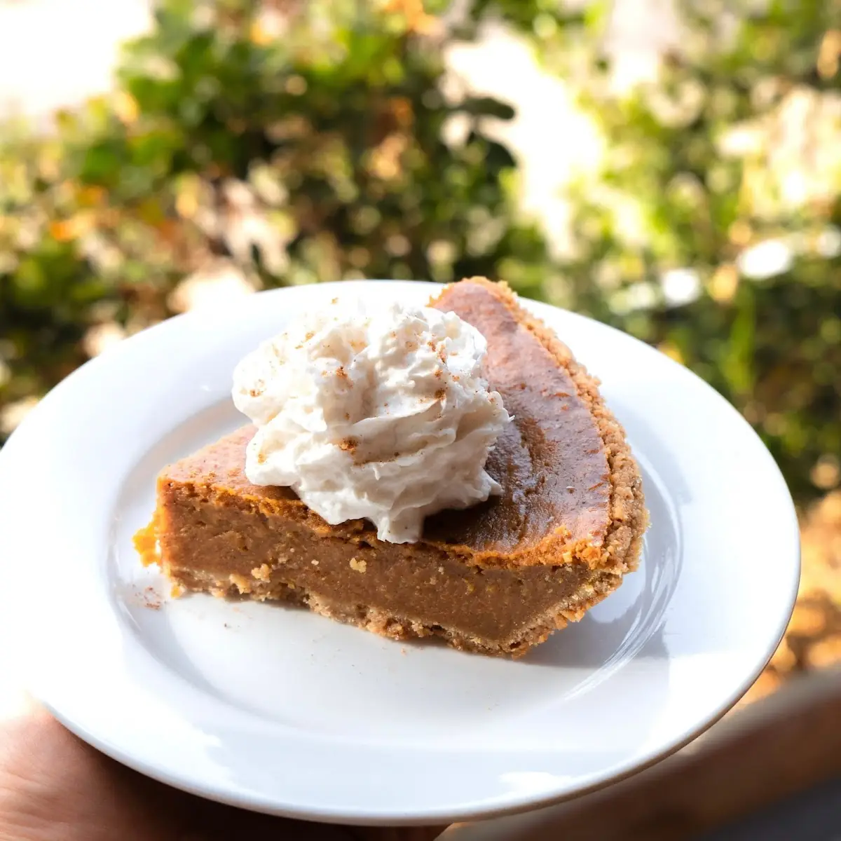 Vegan Pumpkin Pie Seasonal