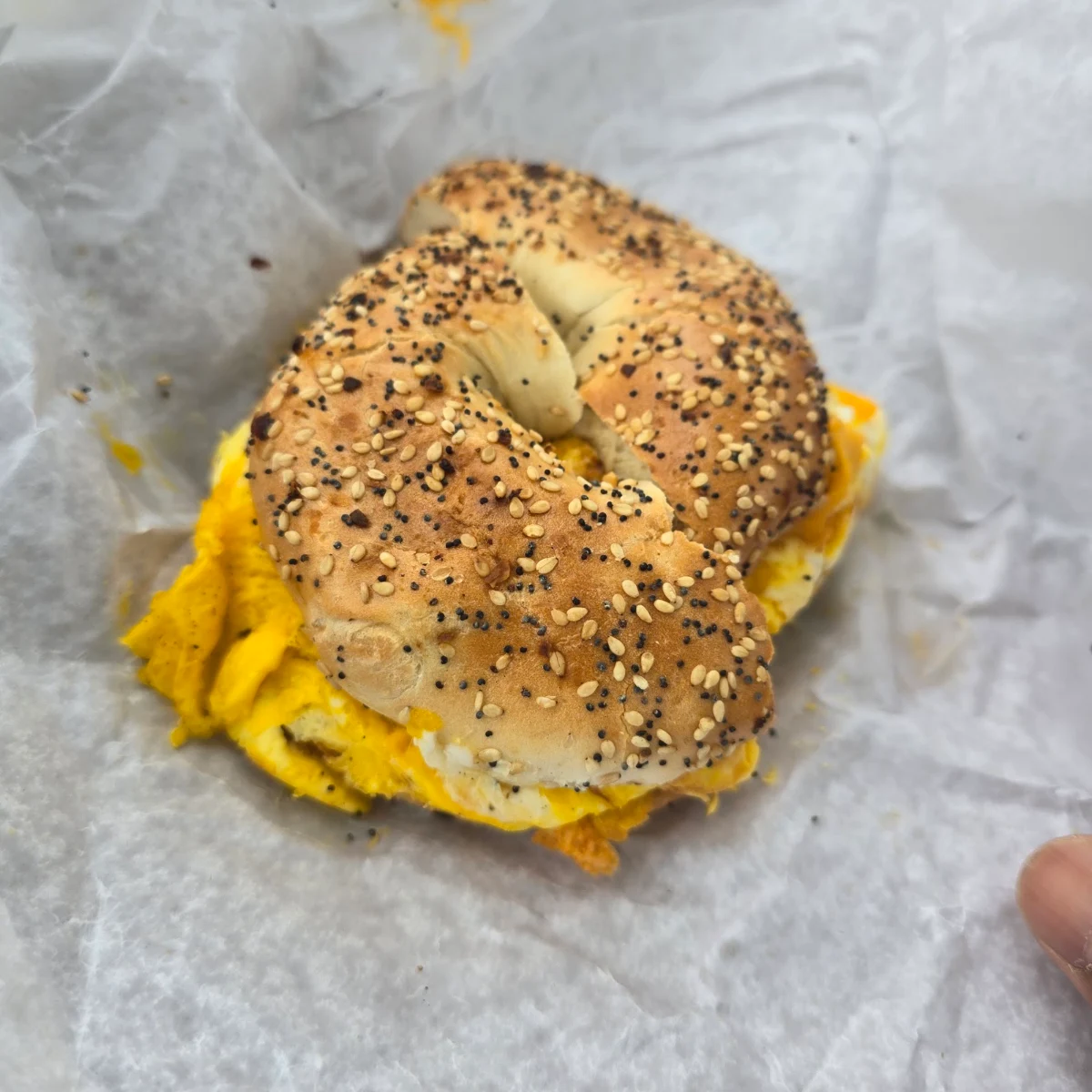 Everything Bagel with Egg and Cheese
