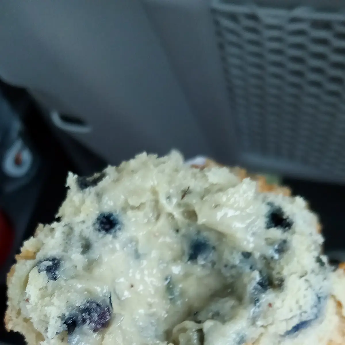Blueberry Muffin