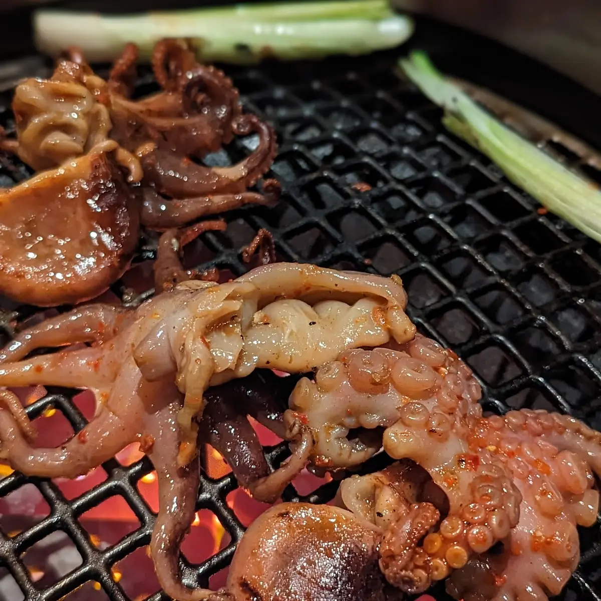 Baby Octopus