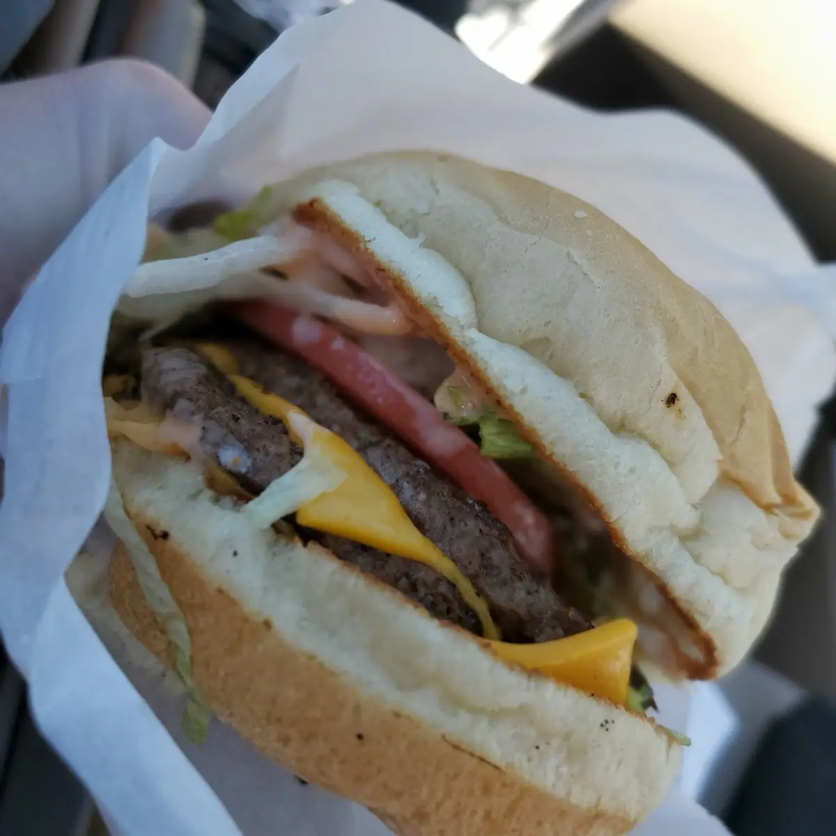 Garden Burger
