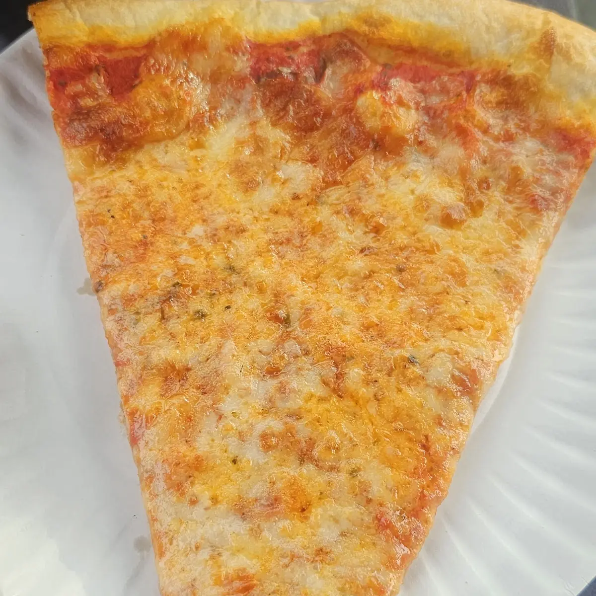 Plain Cheese Pizza