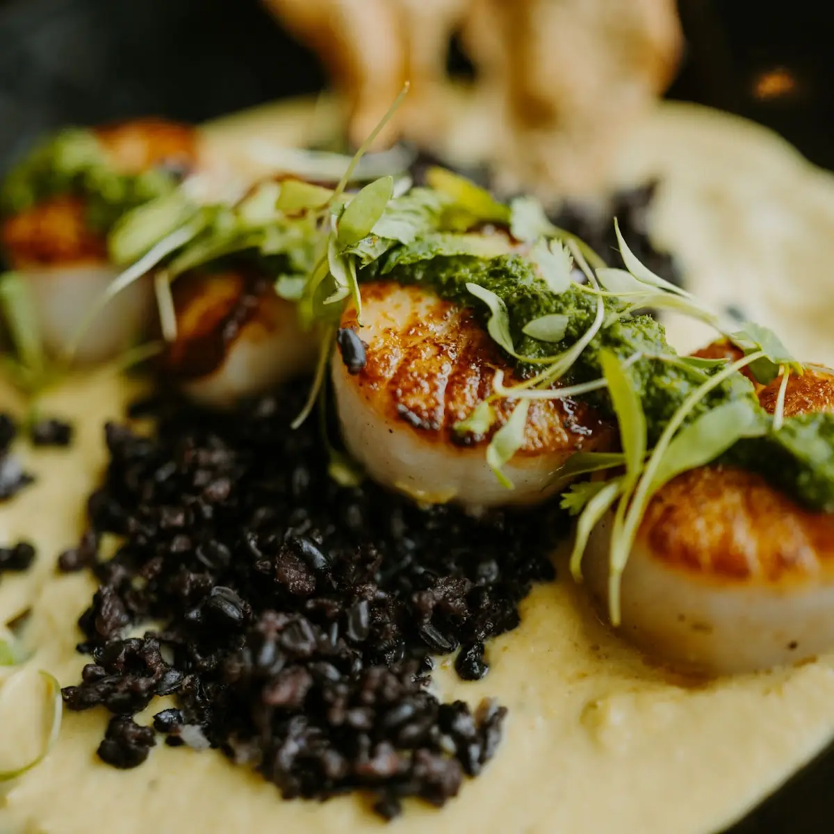 Seared Sea Scallops