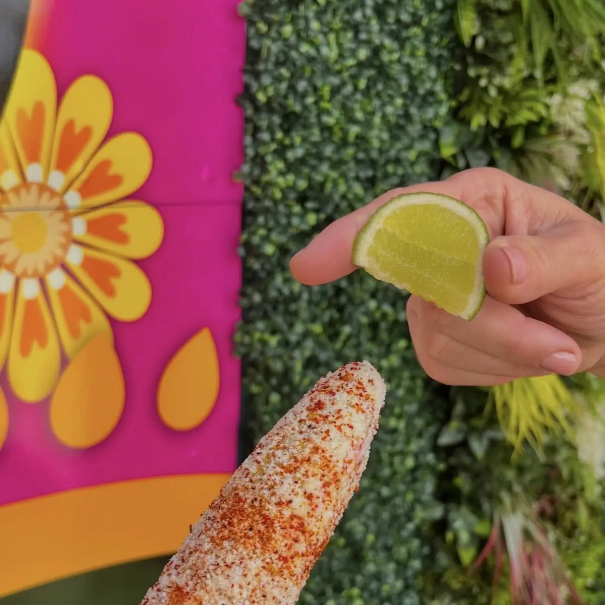 Elote Preparado