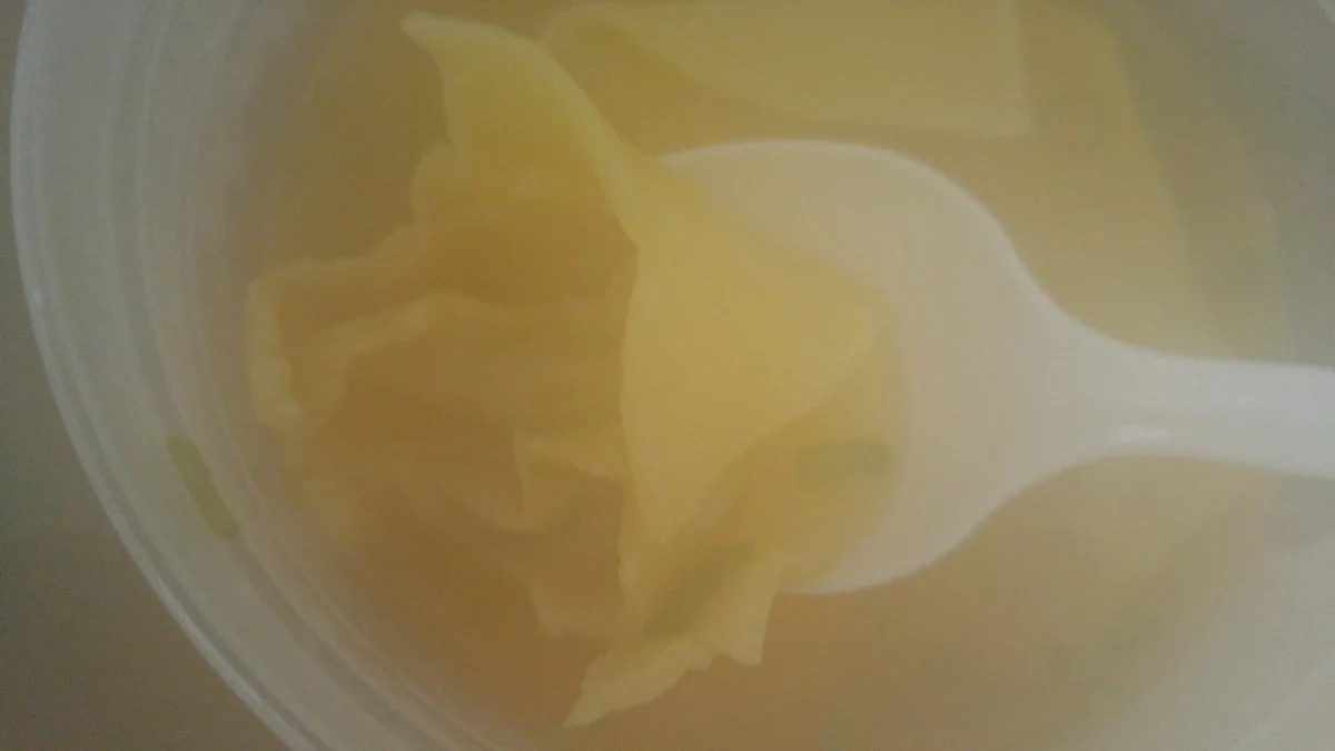 Wonton Soup