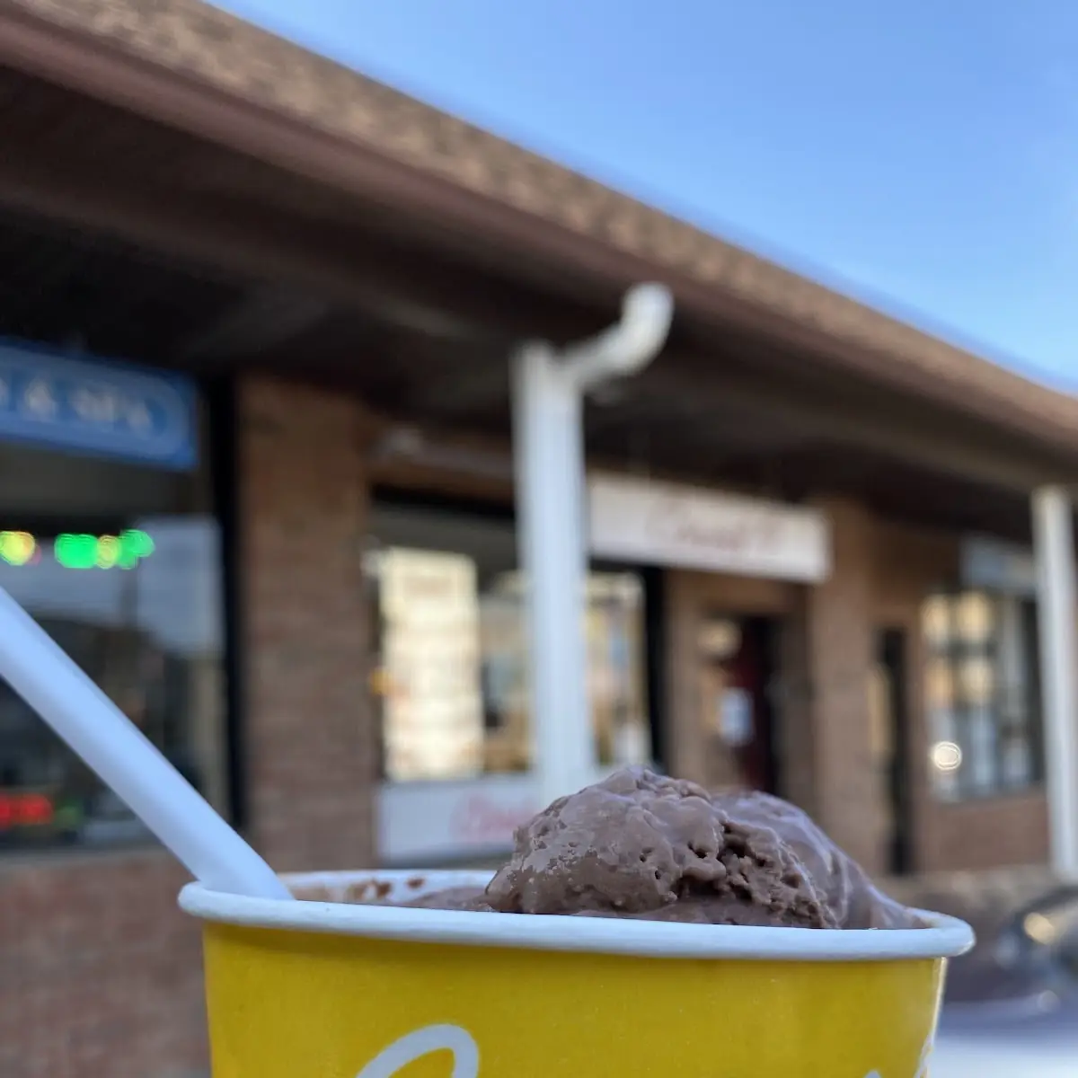 Chocolate Ice Cream Kid Size