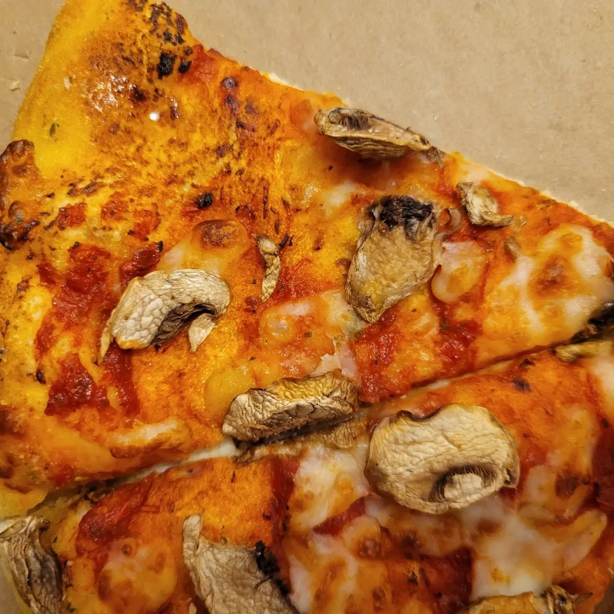 Cheese and Mushroom Pizza