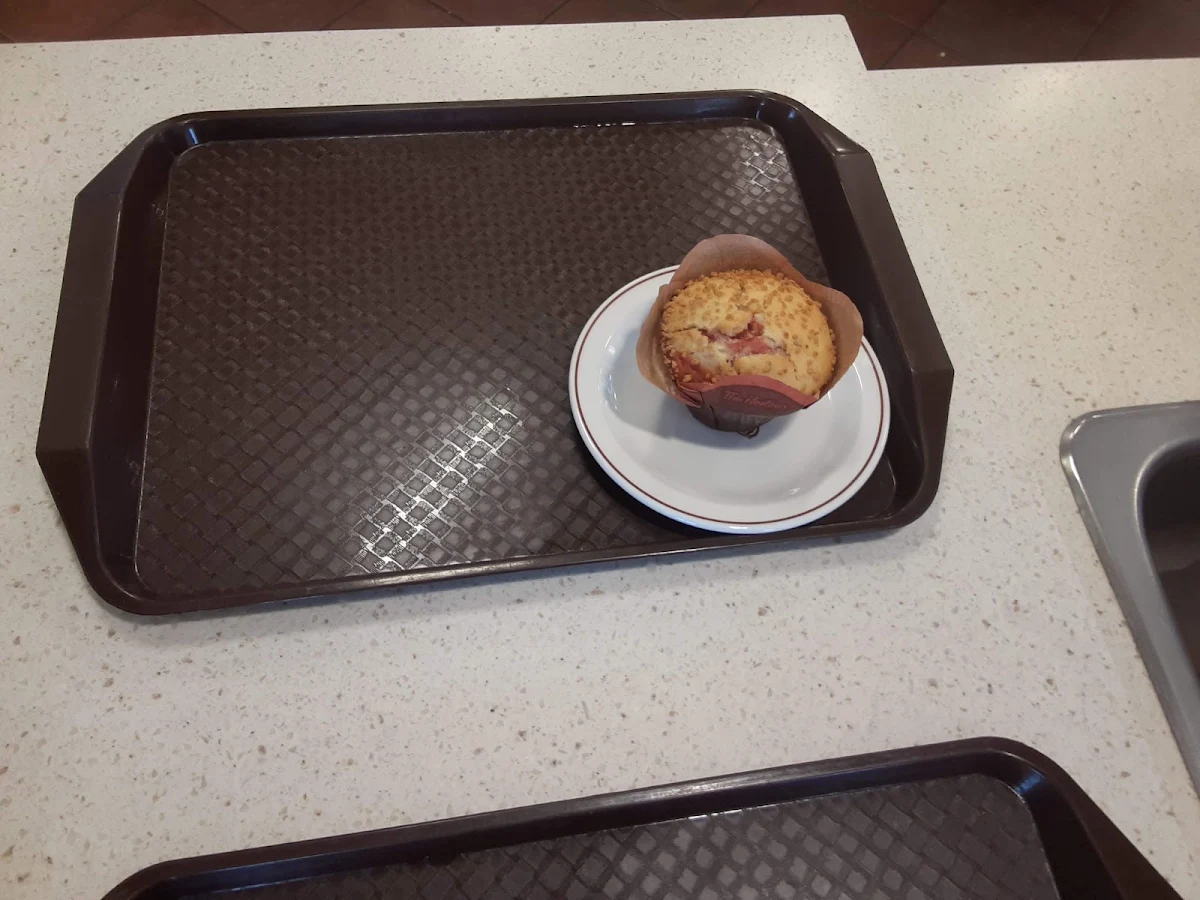 Chocolate Chip Muffin