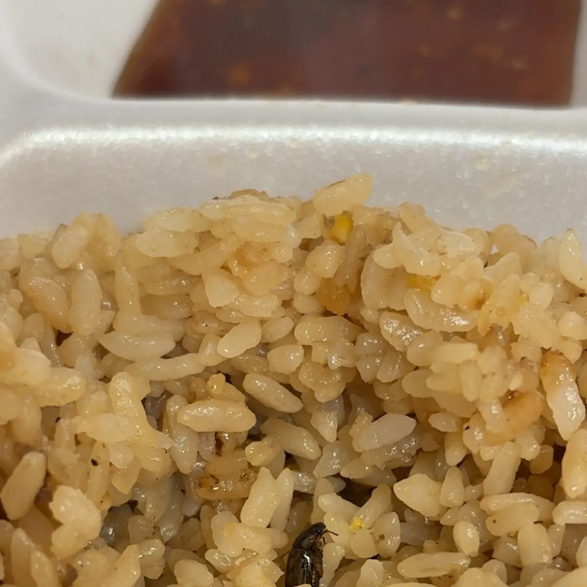 Brown Rice