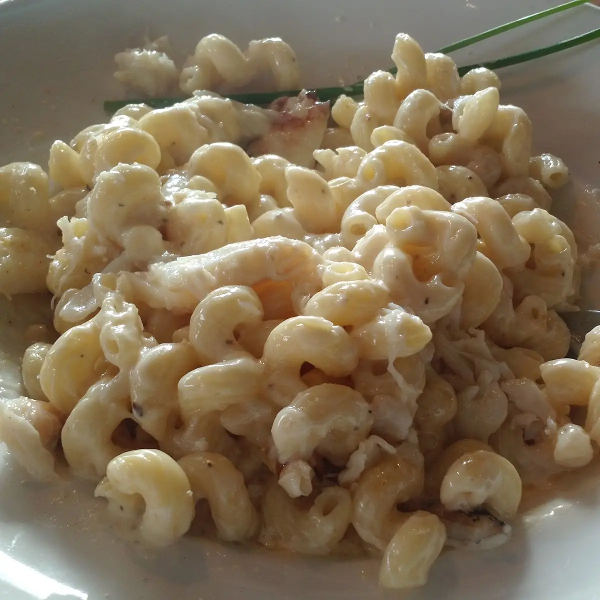 Crab Mac&Cheese