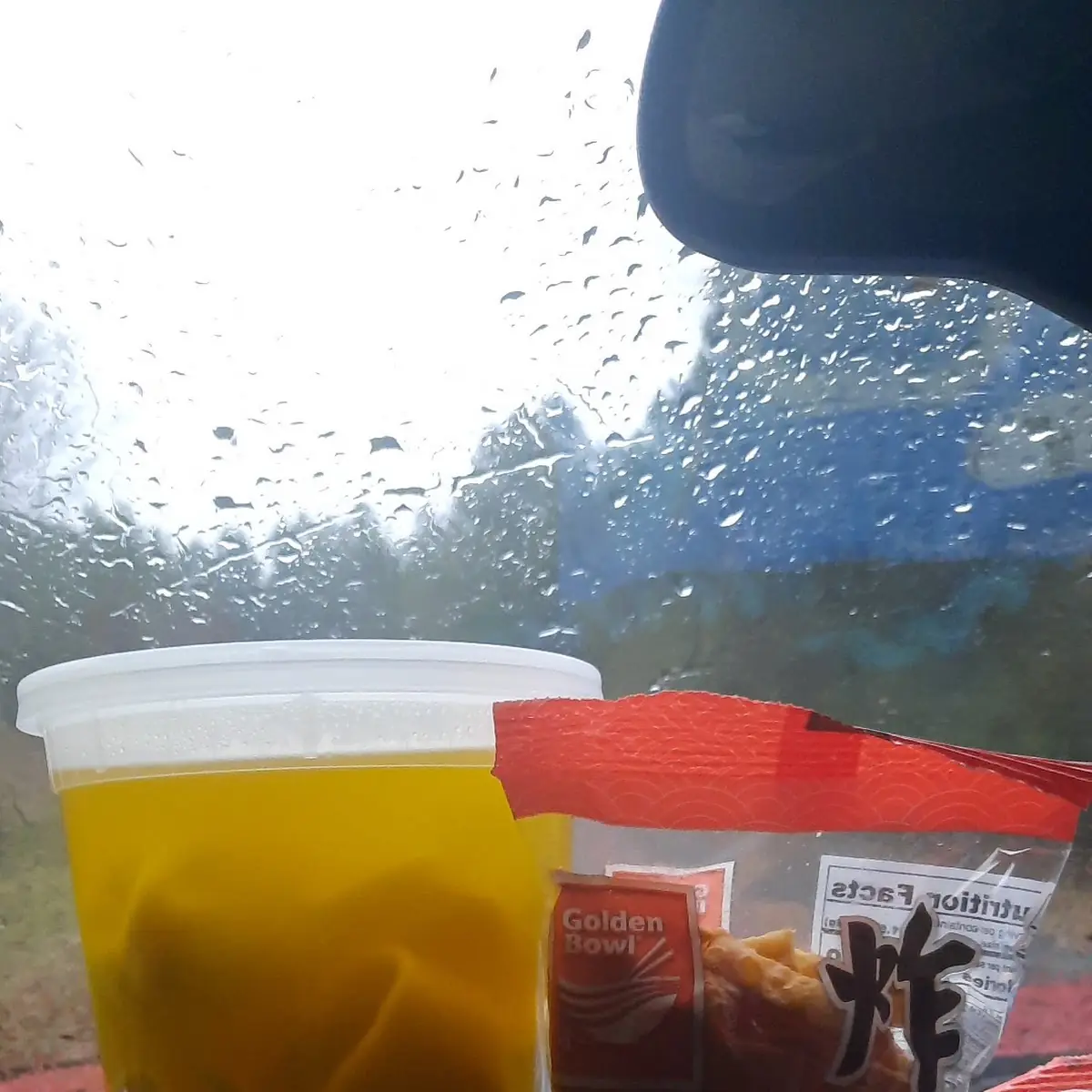 Wonton Soup