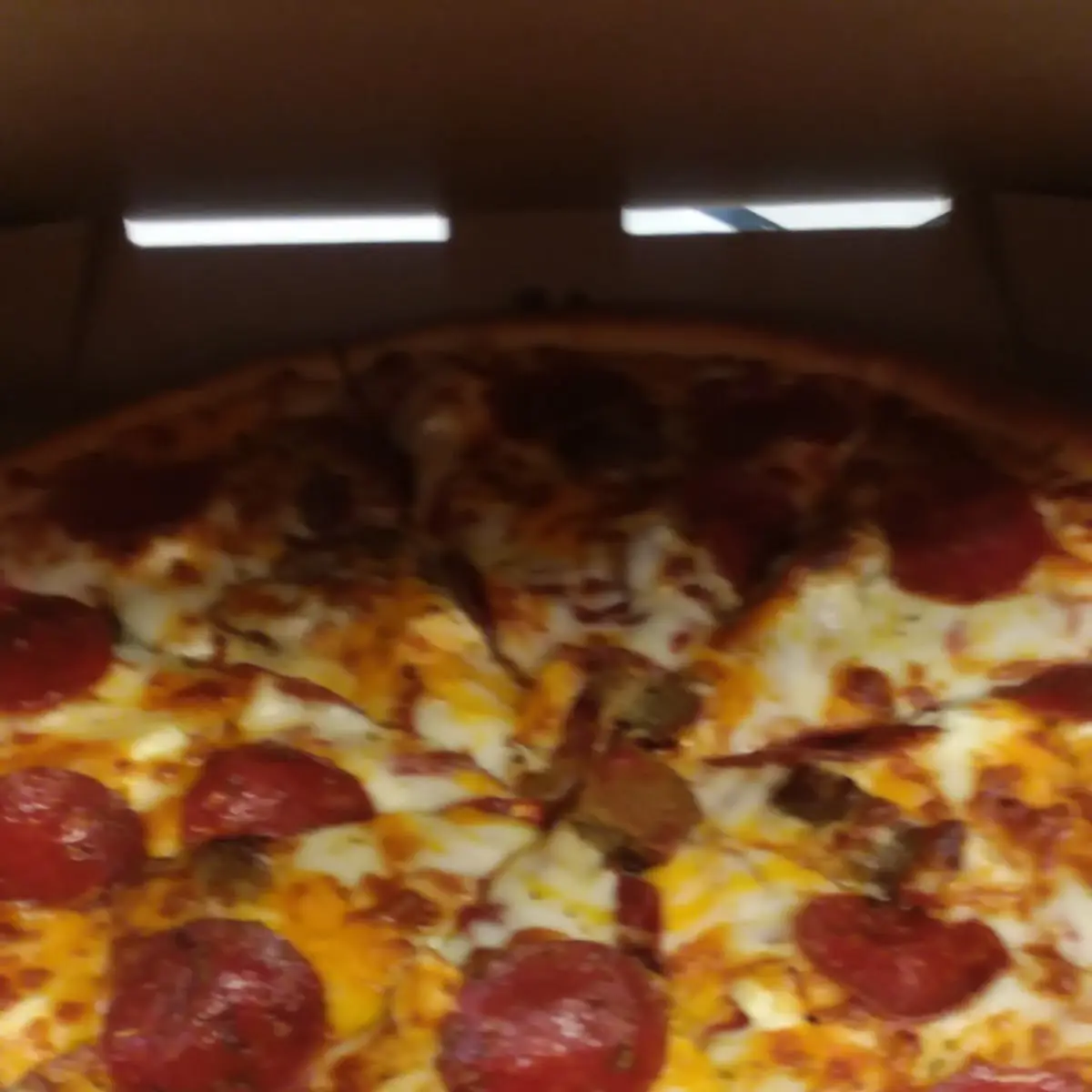 Fresh Frozen Medium Special Pizza