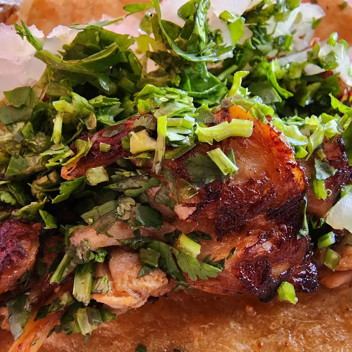 Carnitas Taco