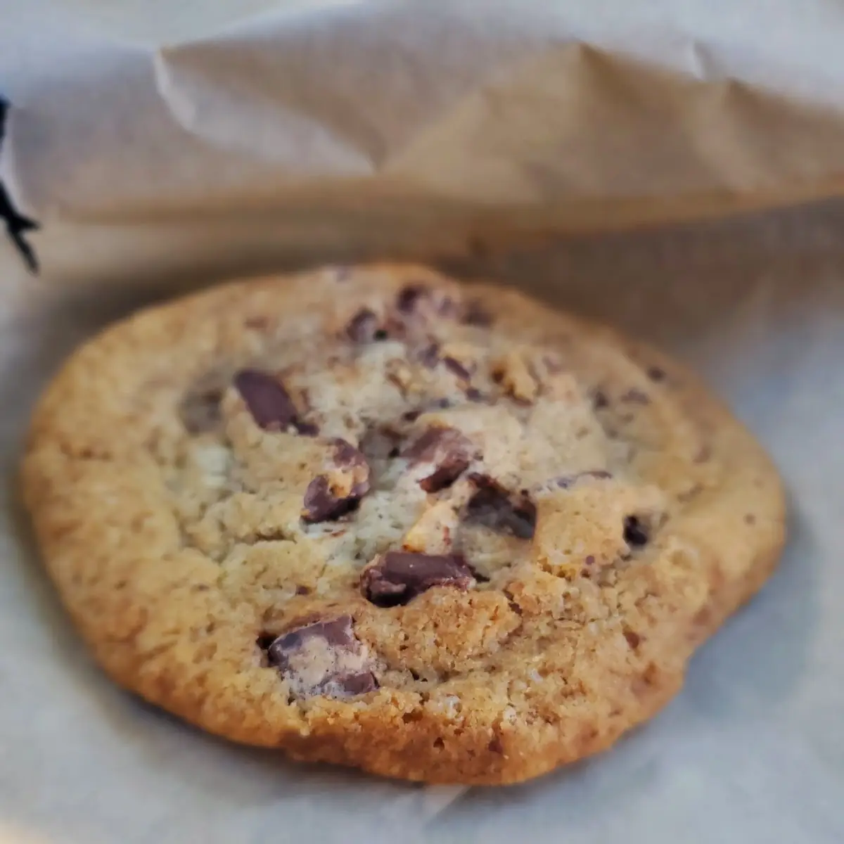 Chocolate Chip Cookie
