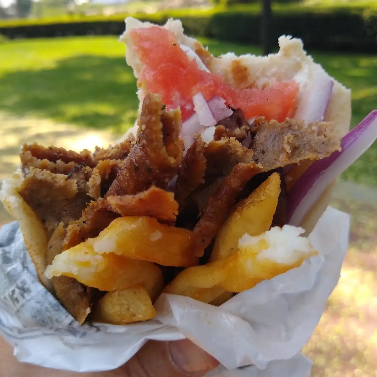 Gyro Sandwich