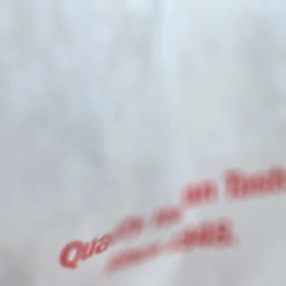 Double-Double Burger