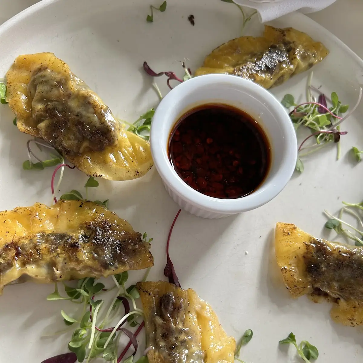 Oxtail Dumpling