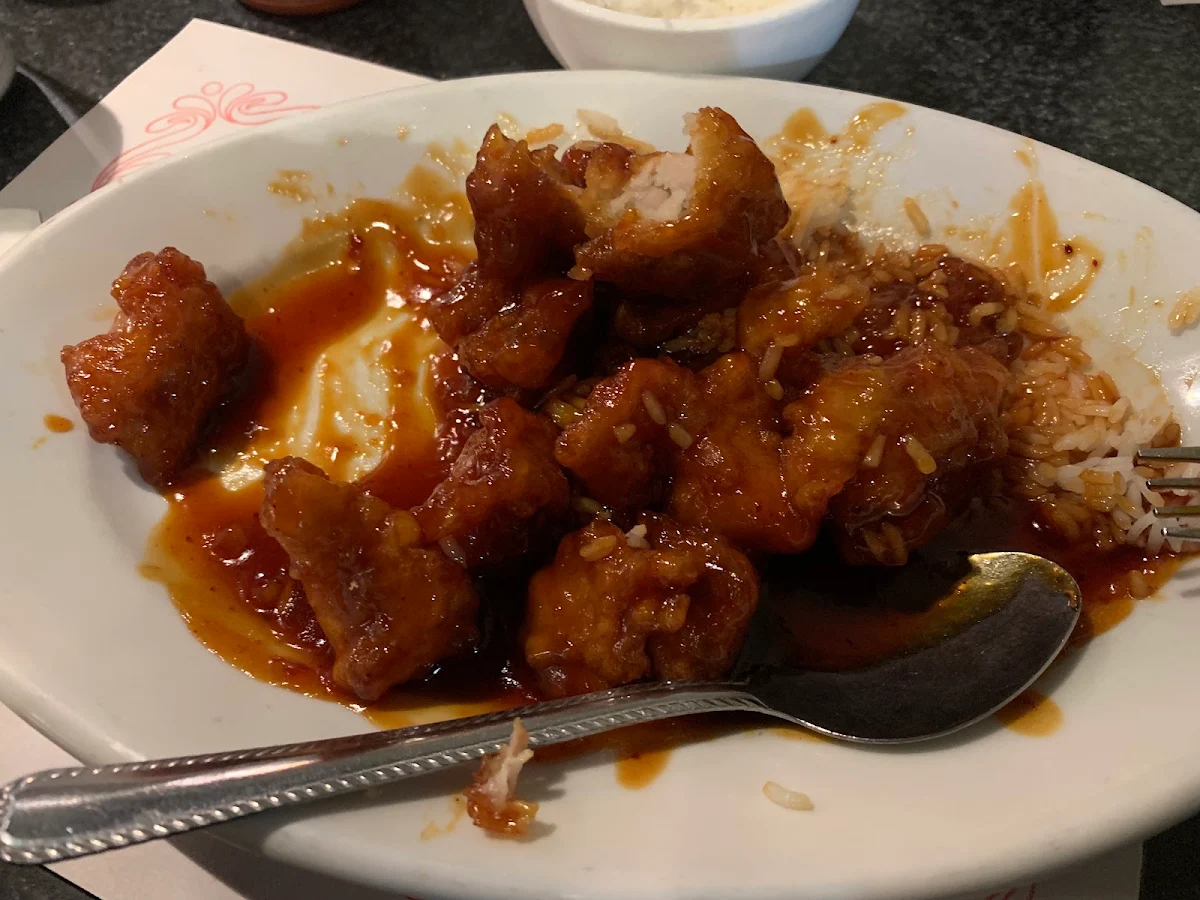 J8.Sweet & Sour Chicken-Poulet Aigre-Doux