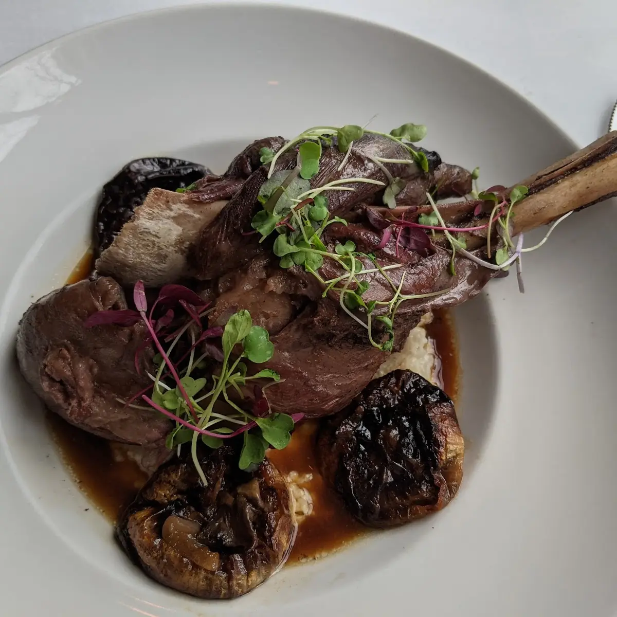 Lamb Shank