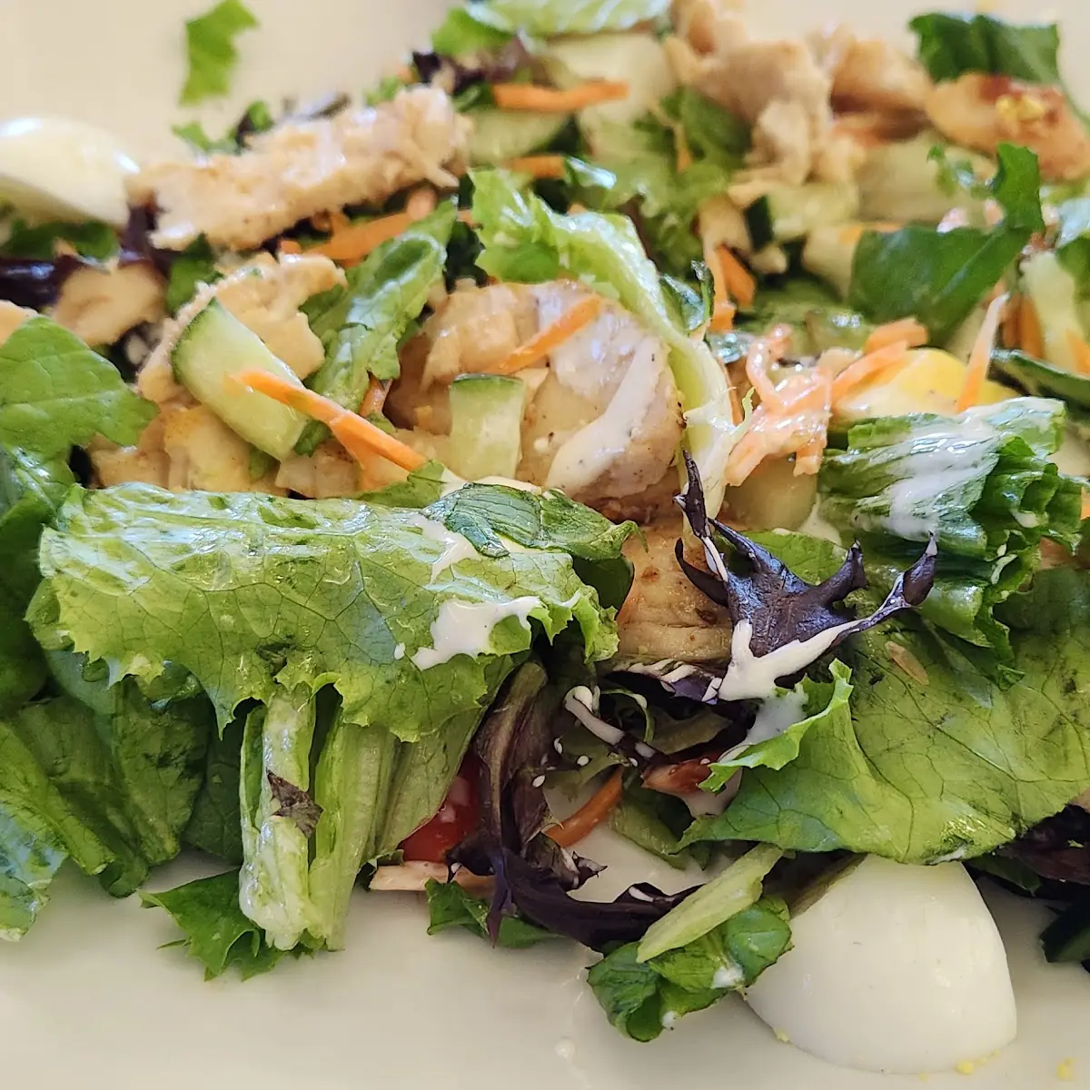 Chicken Salad