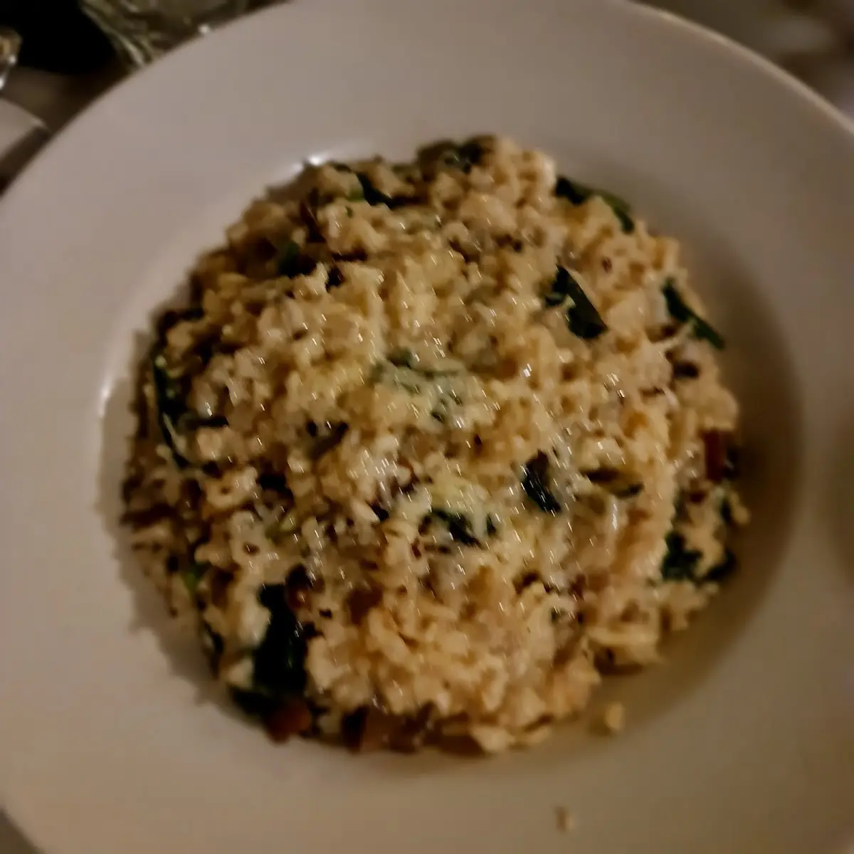 Mushroom Risotto