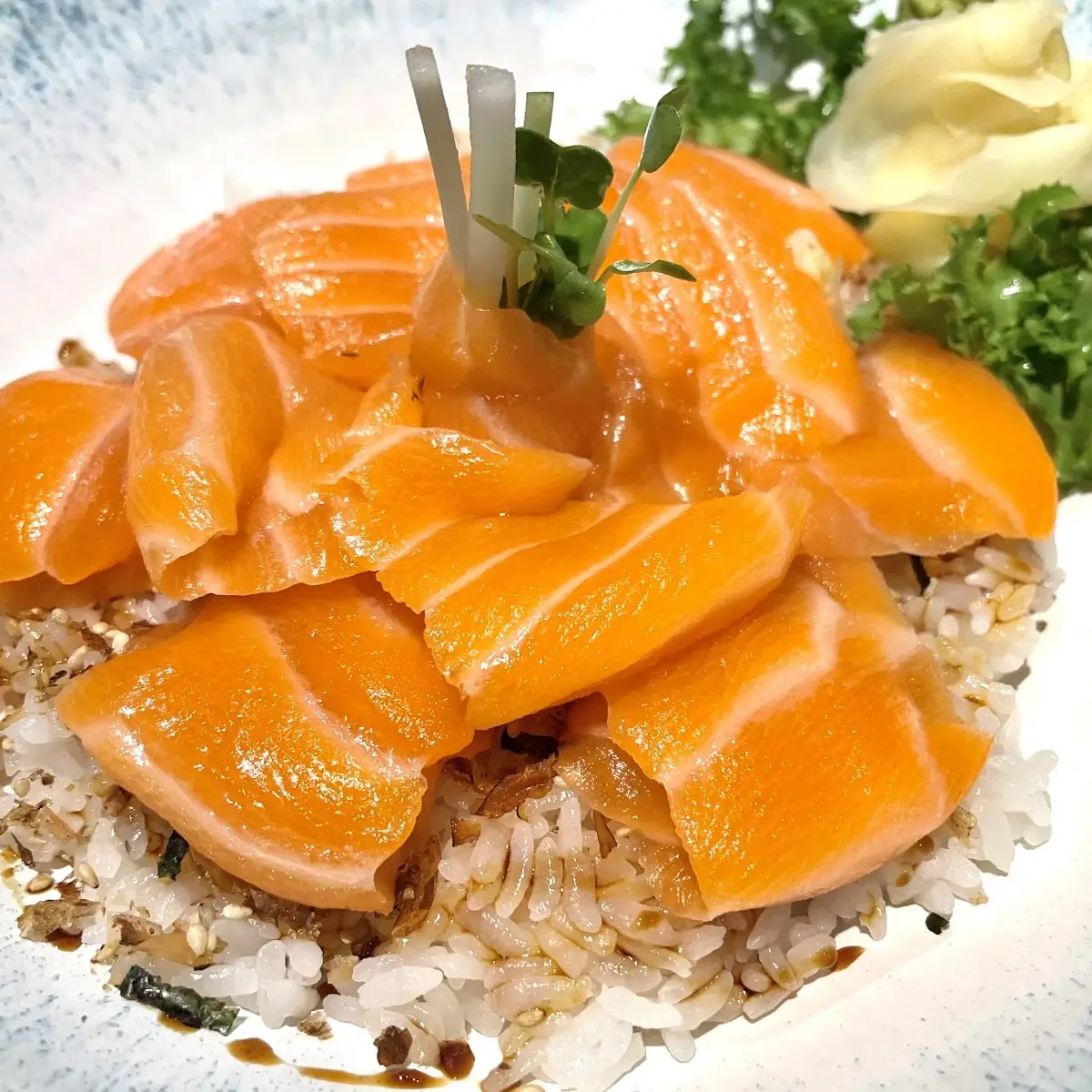 Salmon Don