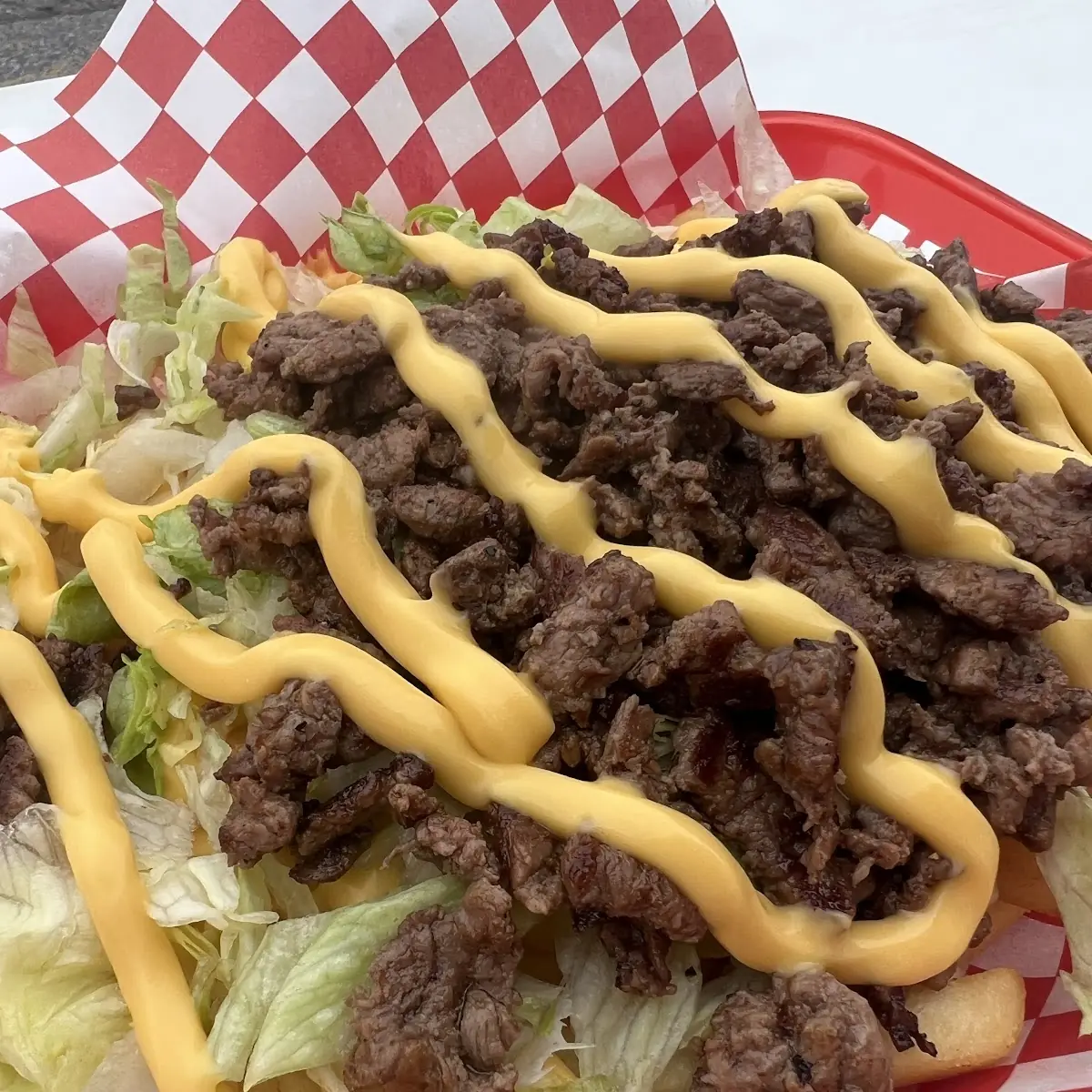 Carne Asada Fries