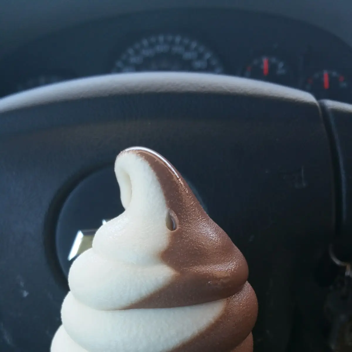 Chocolate Vanilla Ice Cream