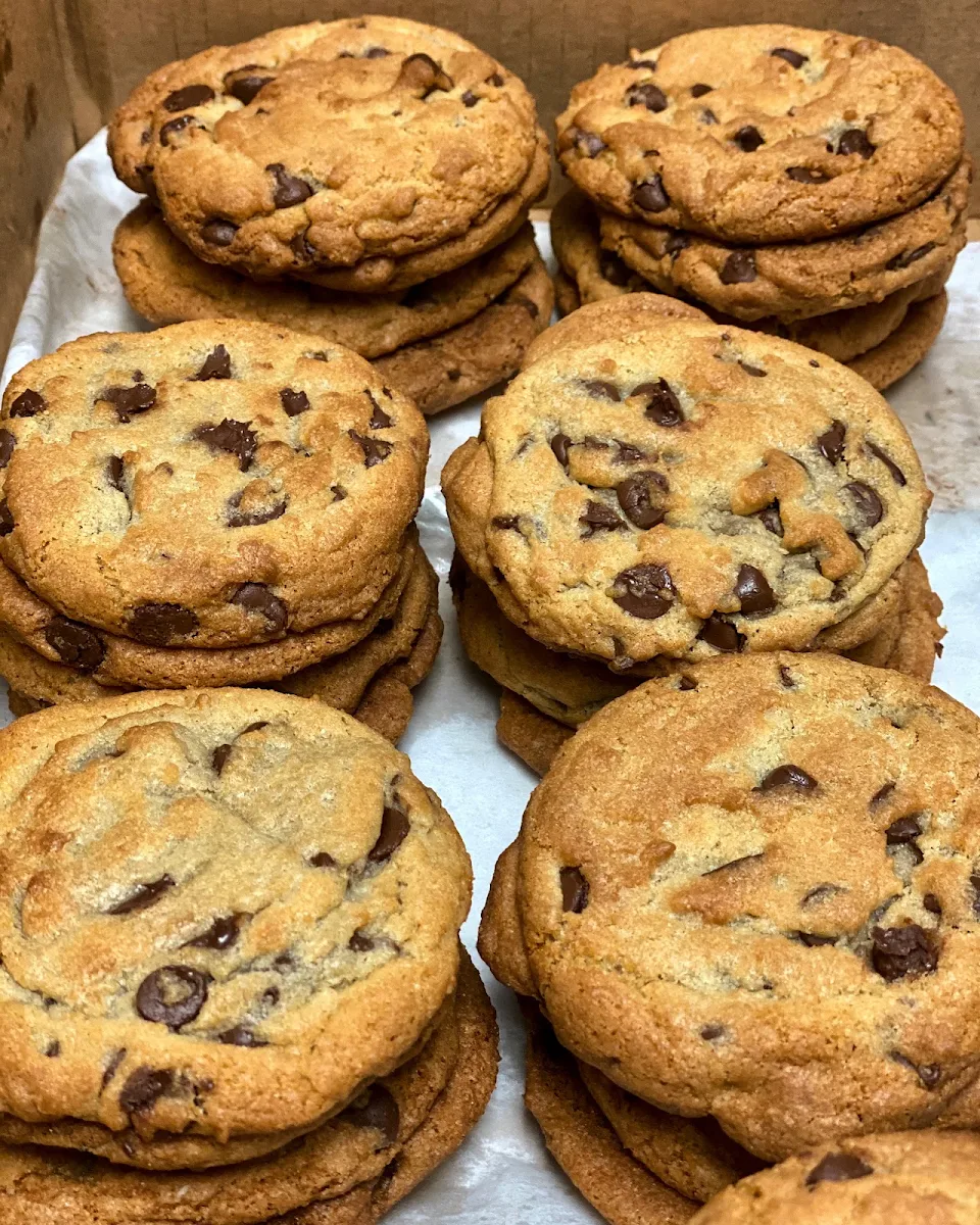 Chocolate Chip Cookie