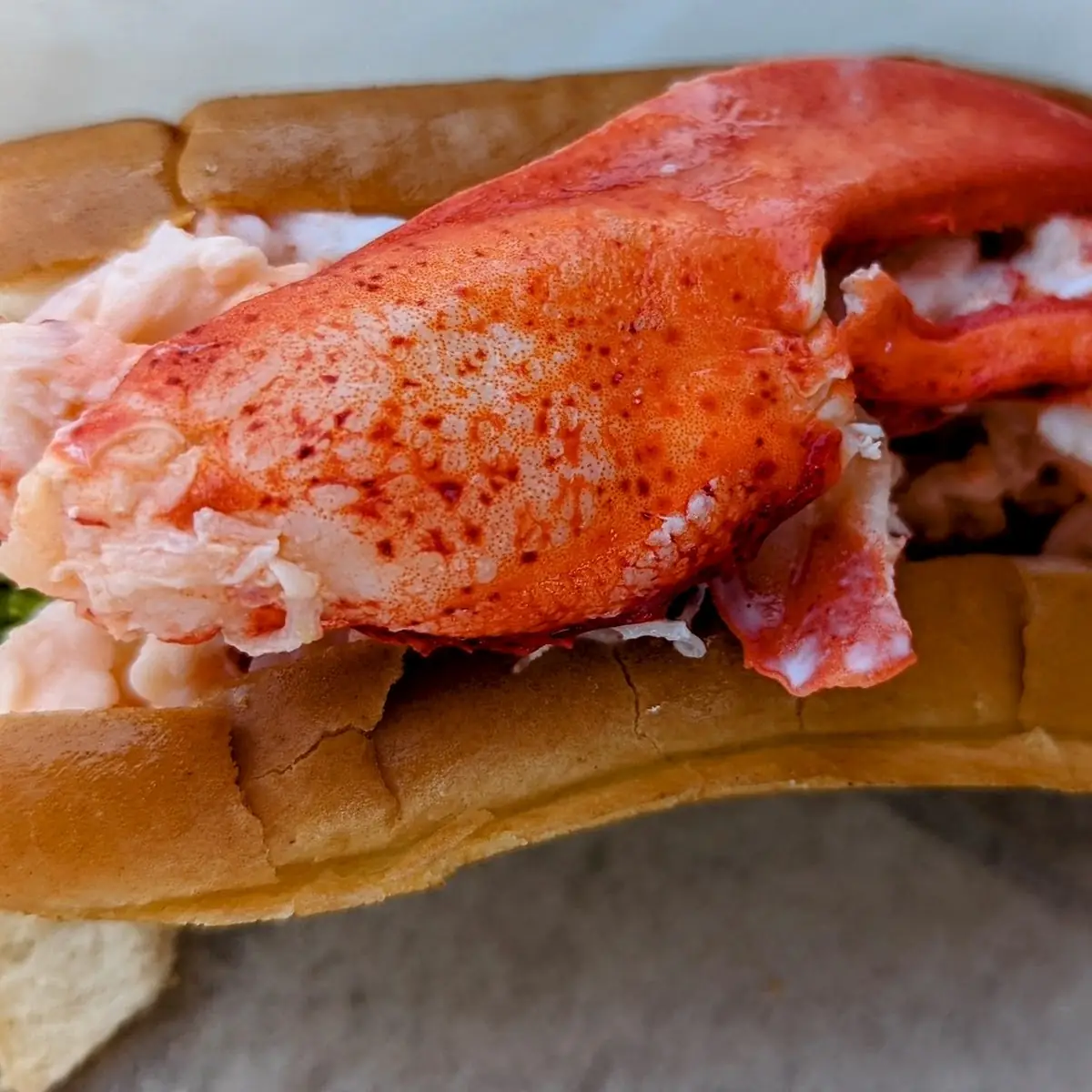 Lobster Roll