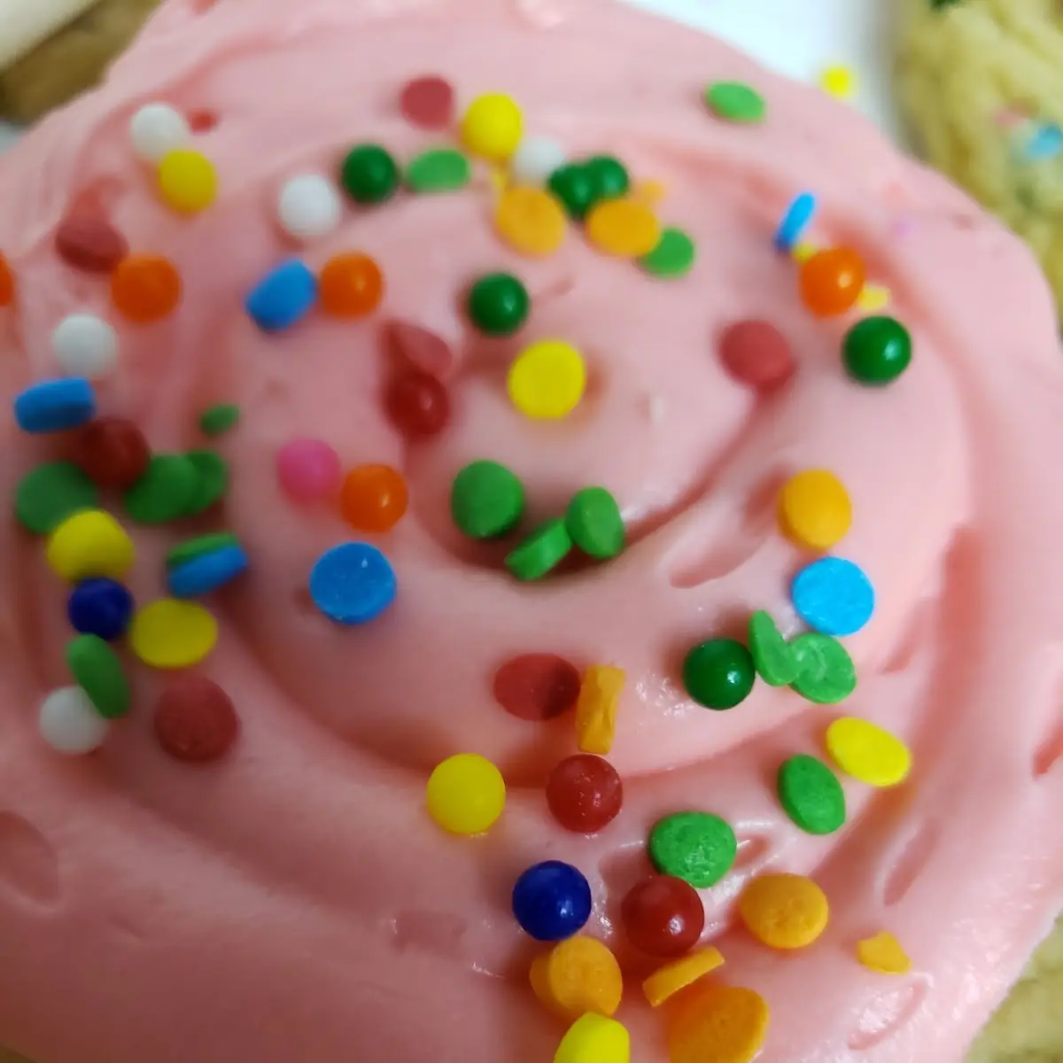 Sugar Cookie