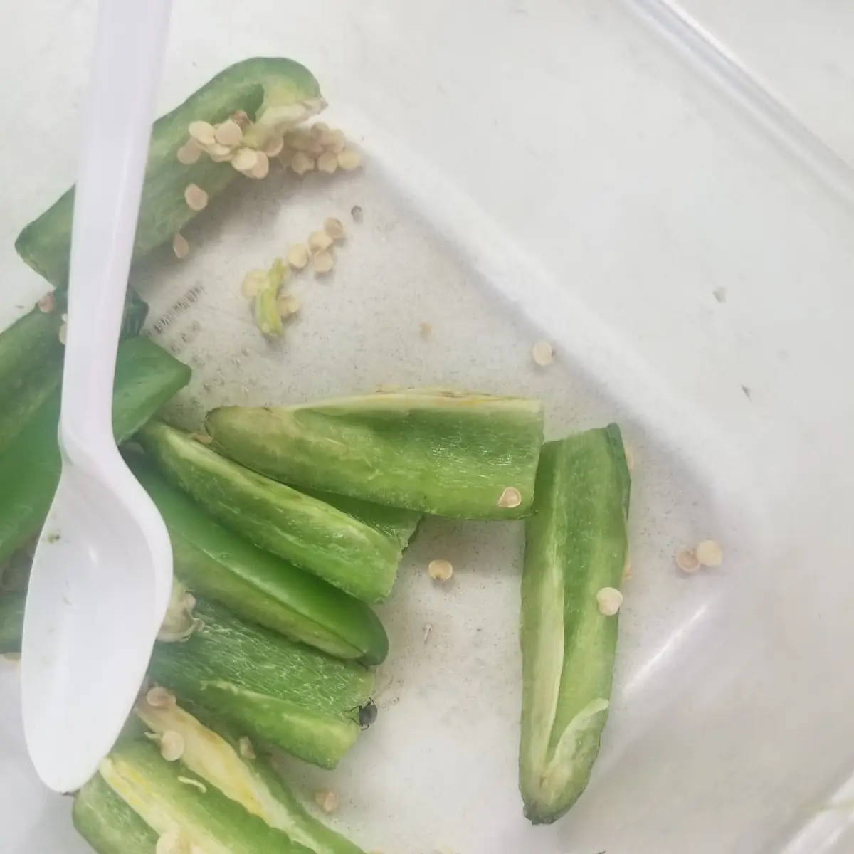 Green Pepper