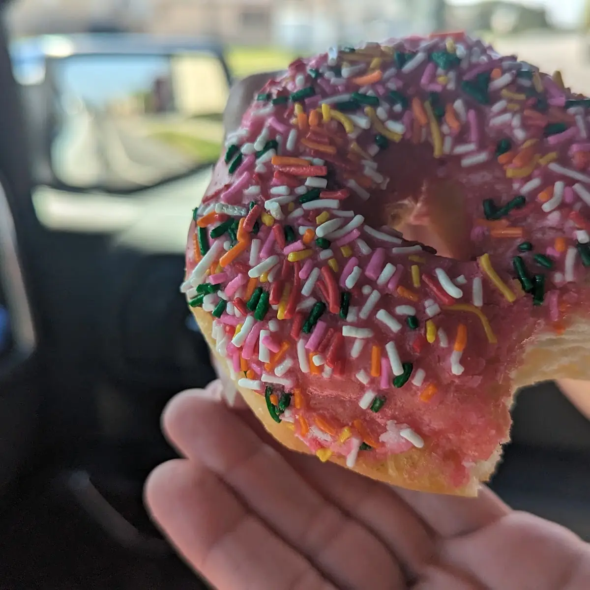 Pink Sprinkles Donut