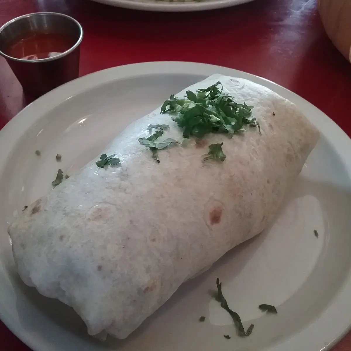 Chicken Burrito