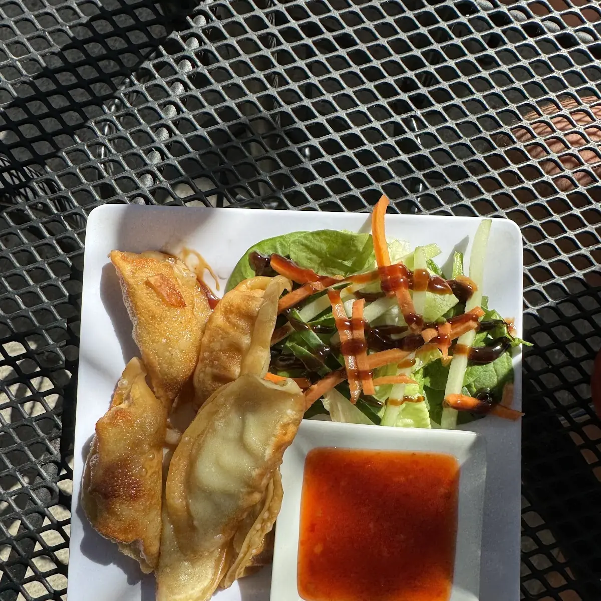 Pork Dumplings
