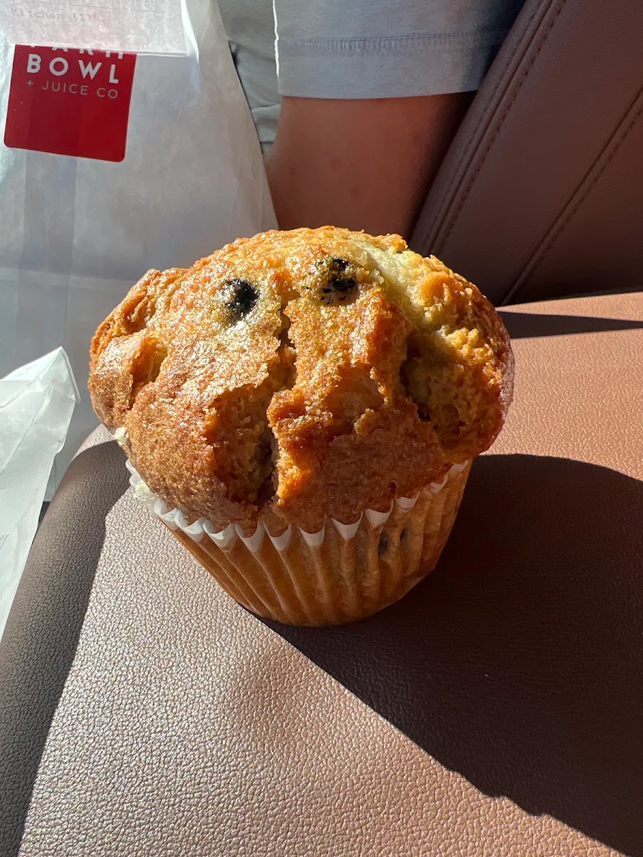 Blueberry Muffin