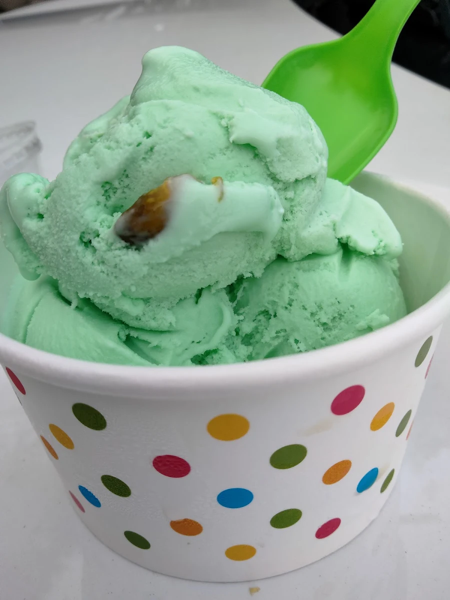 Mint Chocolate Chip