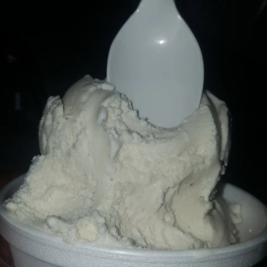 Vanilla Bean Ice Cream