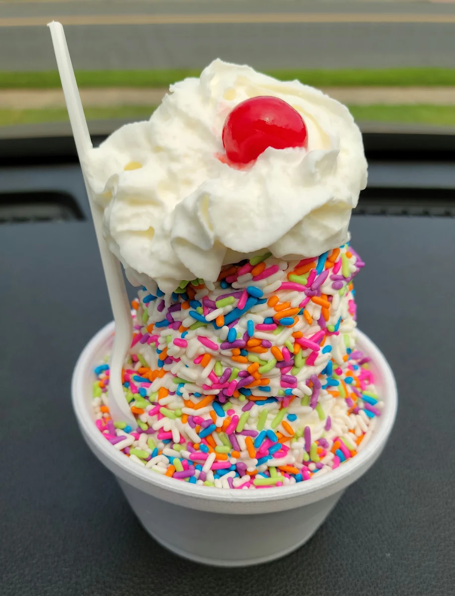 Vanilla Ice Cream with Rainbow Sprinkles