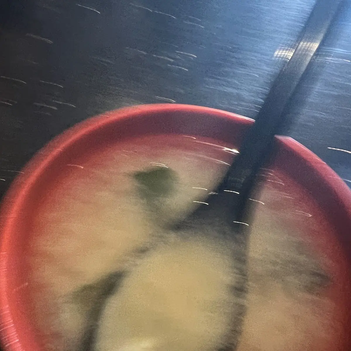 Miso Soup