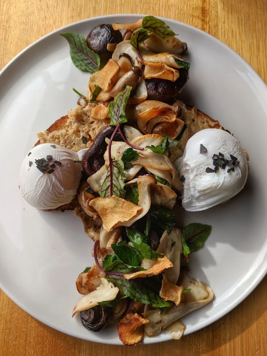 Mushroom Medley, Jethro Canteen