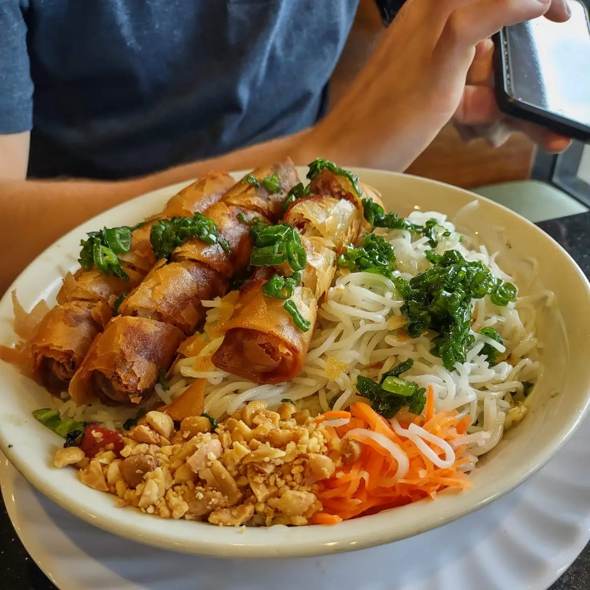 Vegetarian Egg Rolls w Vermicelli