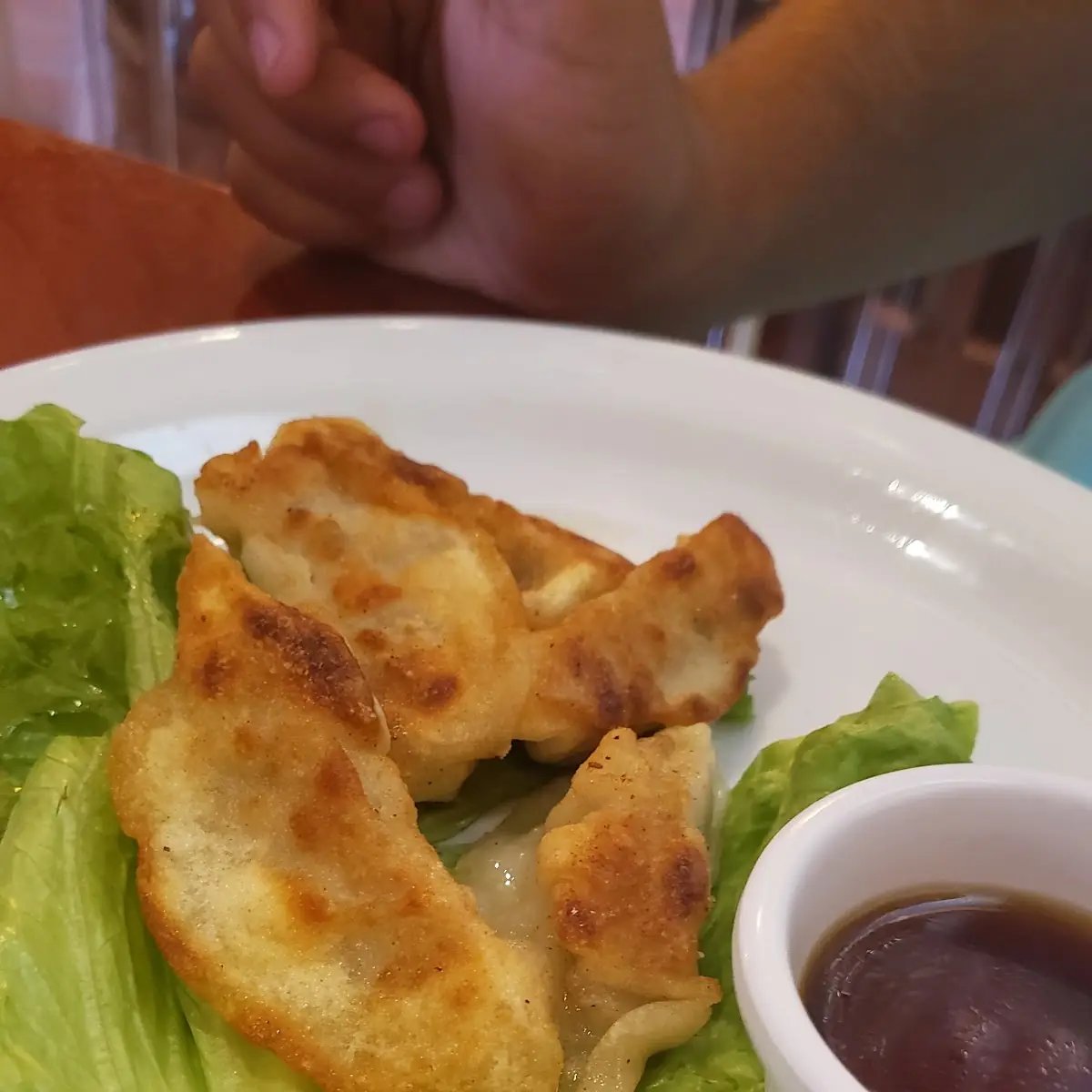 Chicken Dumplings and Dipping Sauce