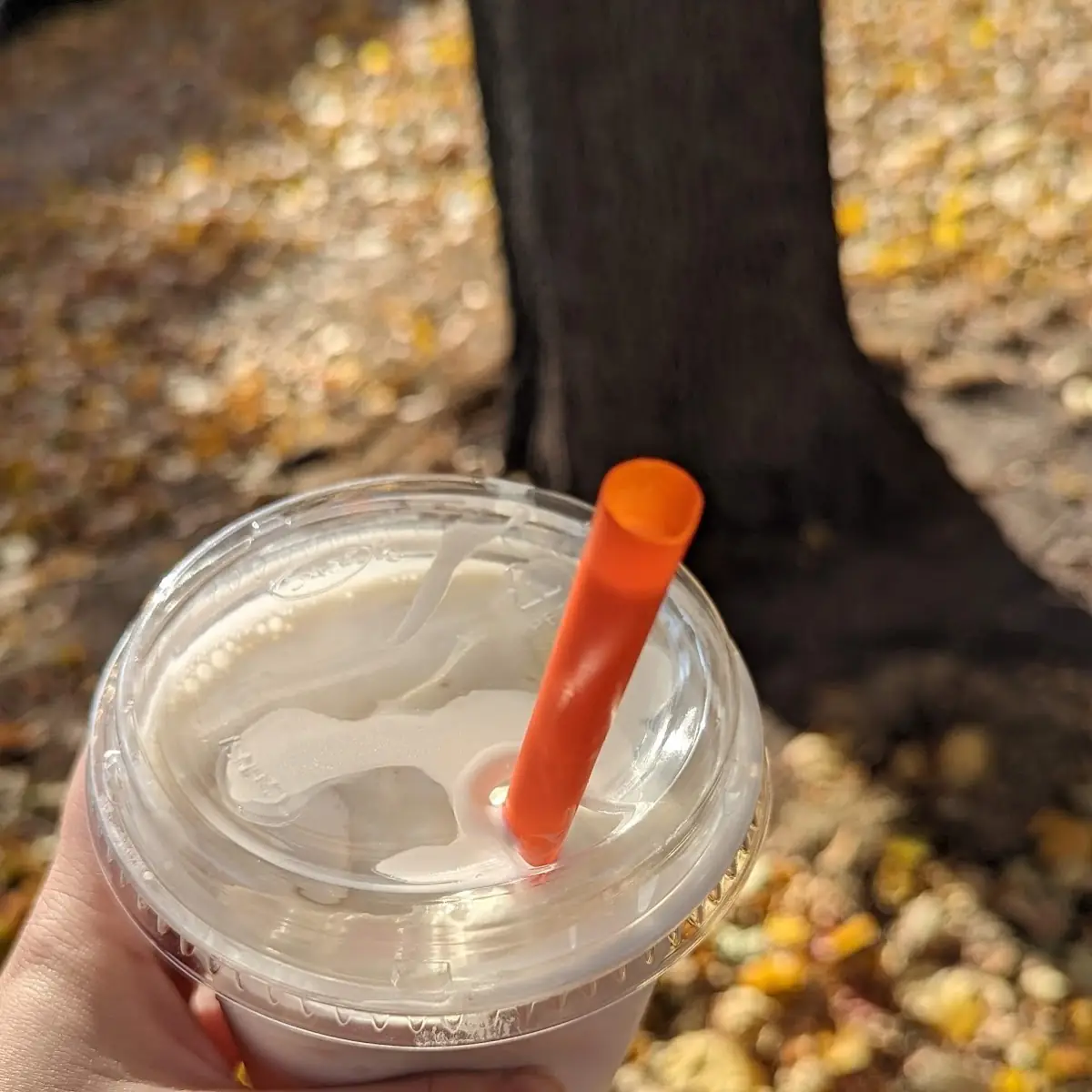 Vanilla Shake