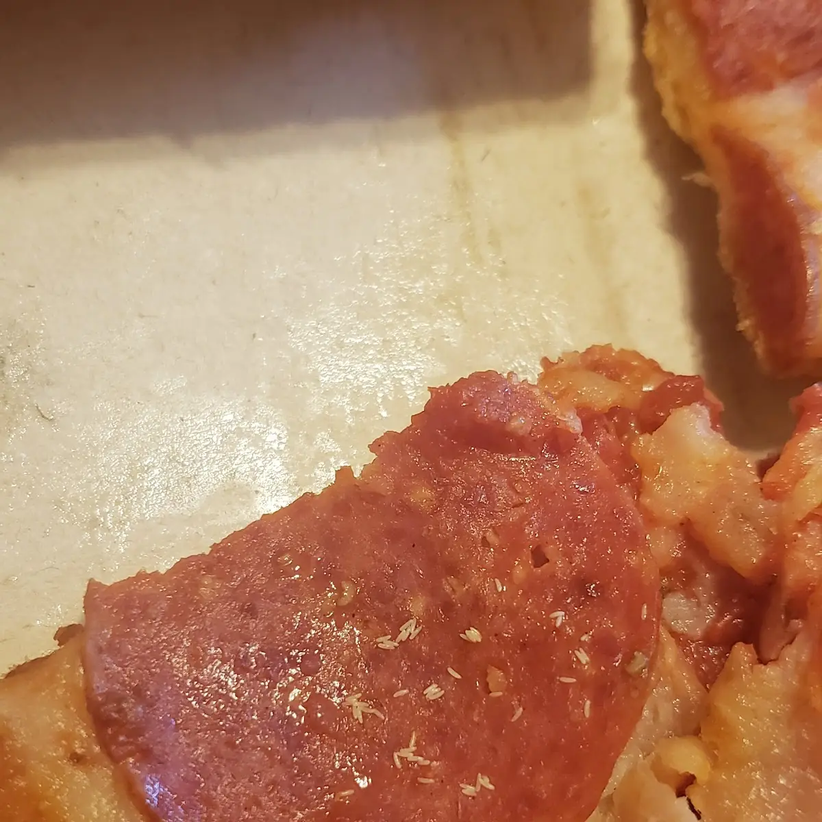 Thin Crust Pizza with Fly Eggs on It