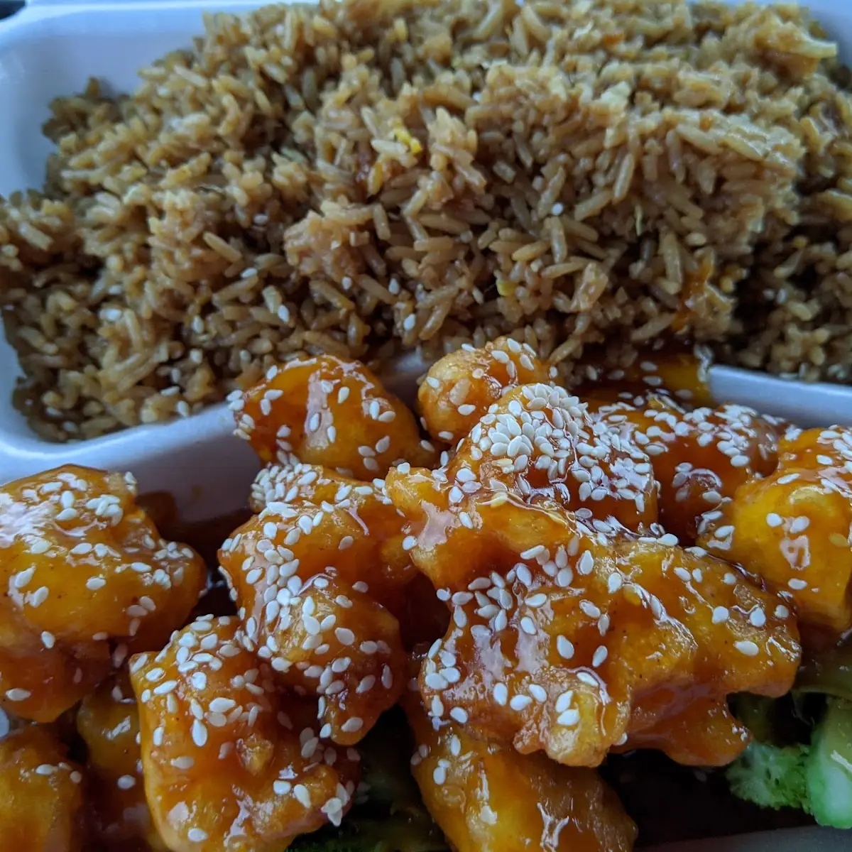 Chicken Teriyaki Combo