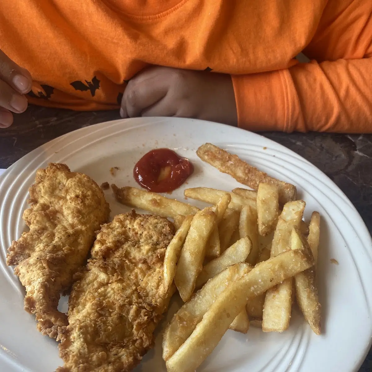 Chicken Tenders and Fries