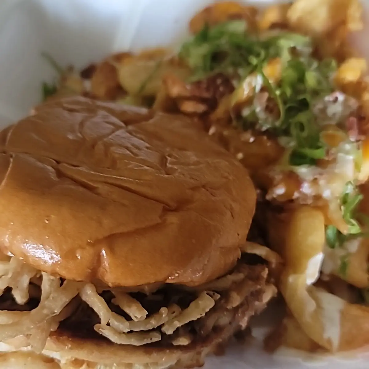 Pulled Pork Sandwich